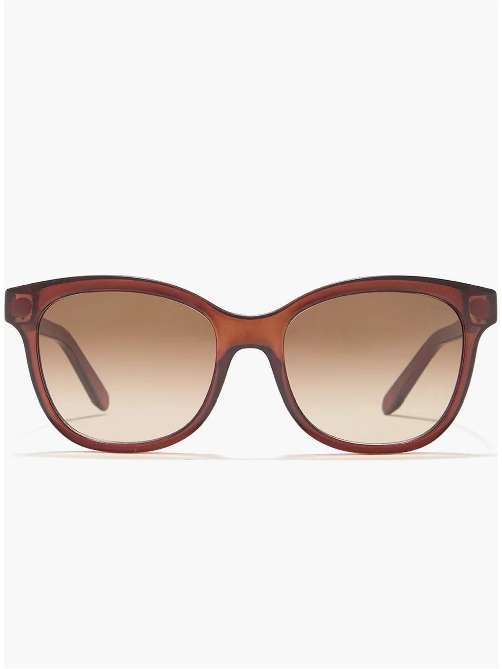 Salvatore Ferragamo Tortoiseshell Brown Oval Women's Sunglasses NWT